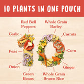 BEN'S ORIGINAL 10 MEDLEY Chinese Style Five Spice, Hearty Medley of Grains, Vegetables, Legumes and Herbs, Side Dish, 8.5 OZ Pouch